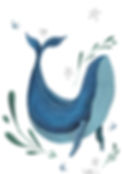 Baleine-A5.jpg