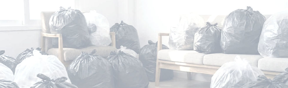 丟垃圾 背景 (1)_edited_edited.jpg