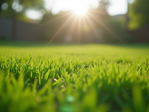 Get a Quote for Expert Lawn Care Today