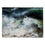 Thumbnail: Oil Sketch 2024-3