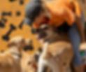 F1D469DC-0F44-428A-A494-14AD7BEEA27F_edited.jpg