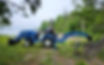 20240706_105303_edited.jpg
