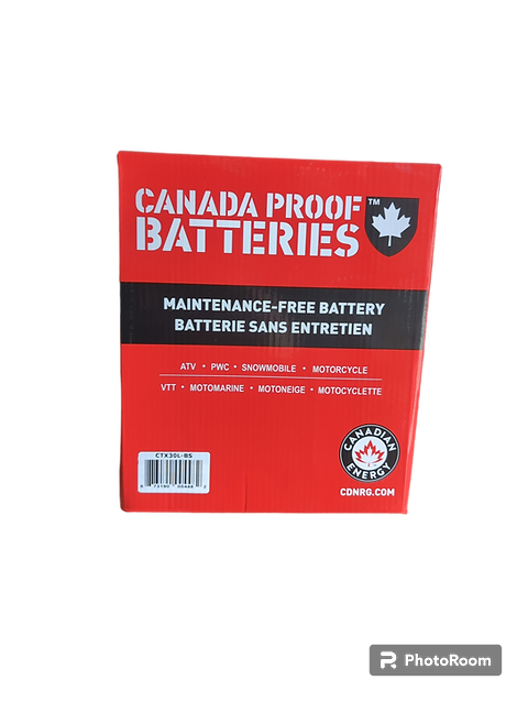 Segway Villain Batteries | Segway Parts Online