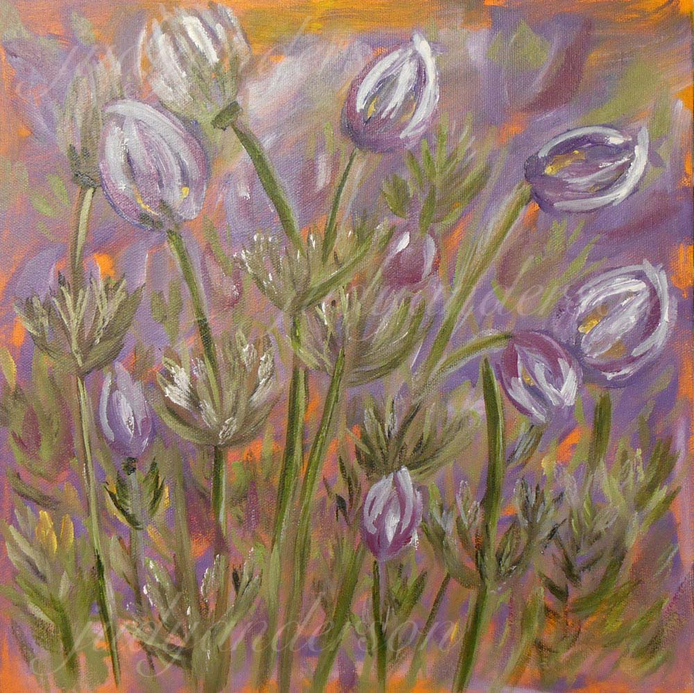 Pasque Flower