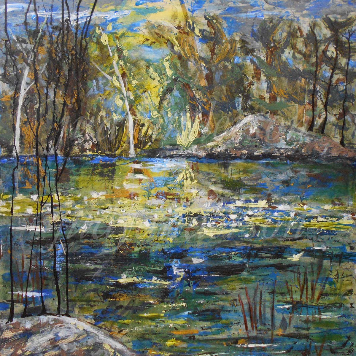 Lily Pads
