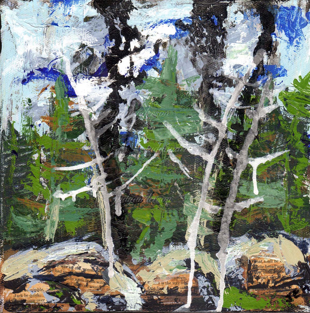 Rocks And Trees