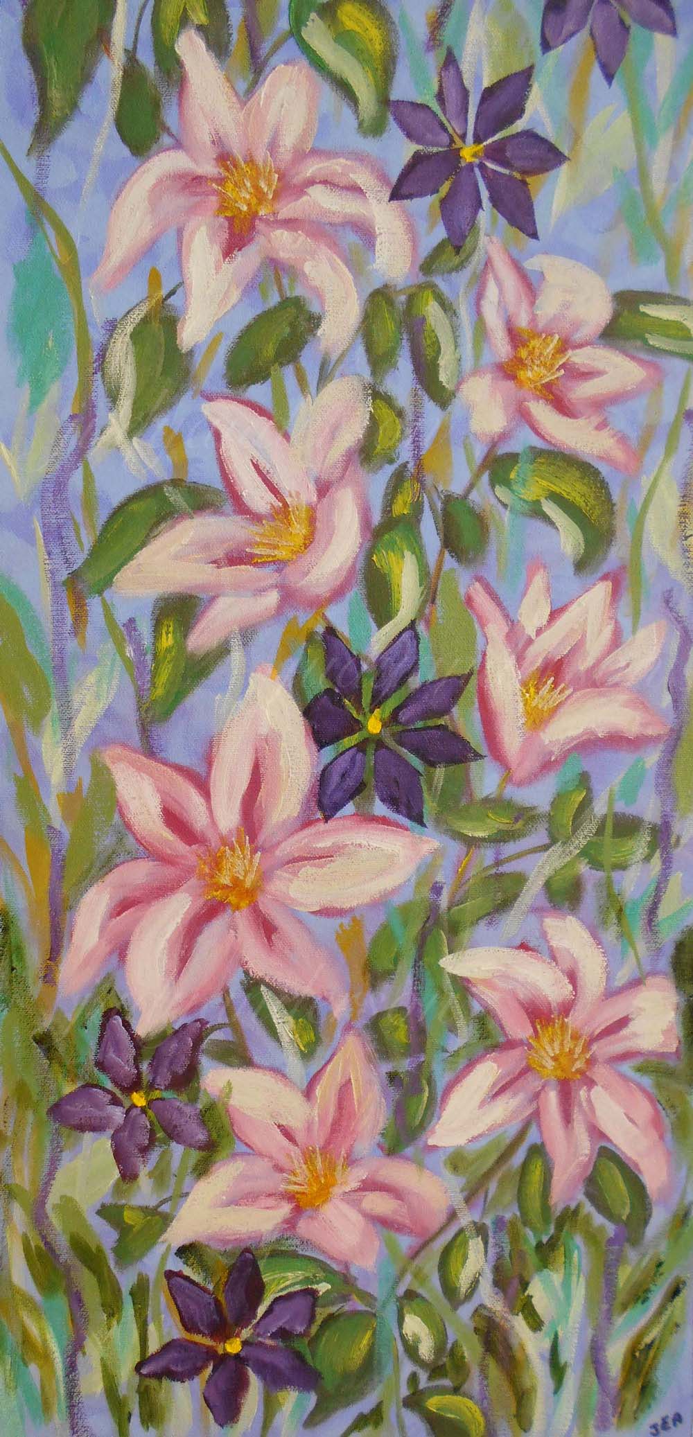 Clematis