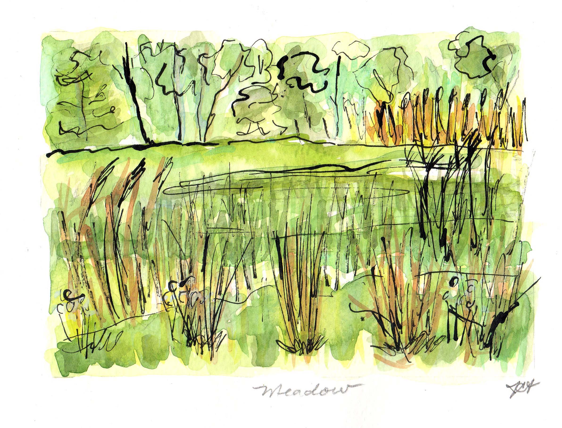 Meadow