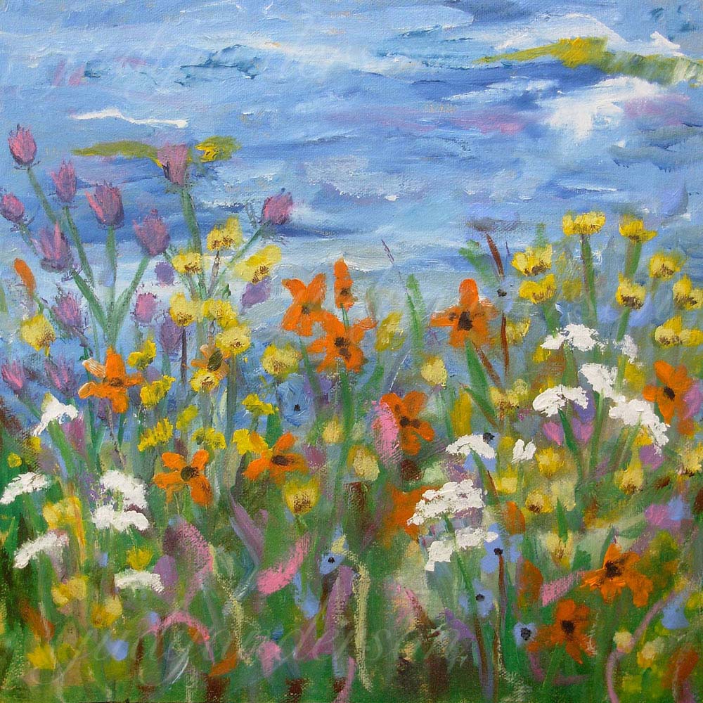 Ontario Wildflowers 1