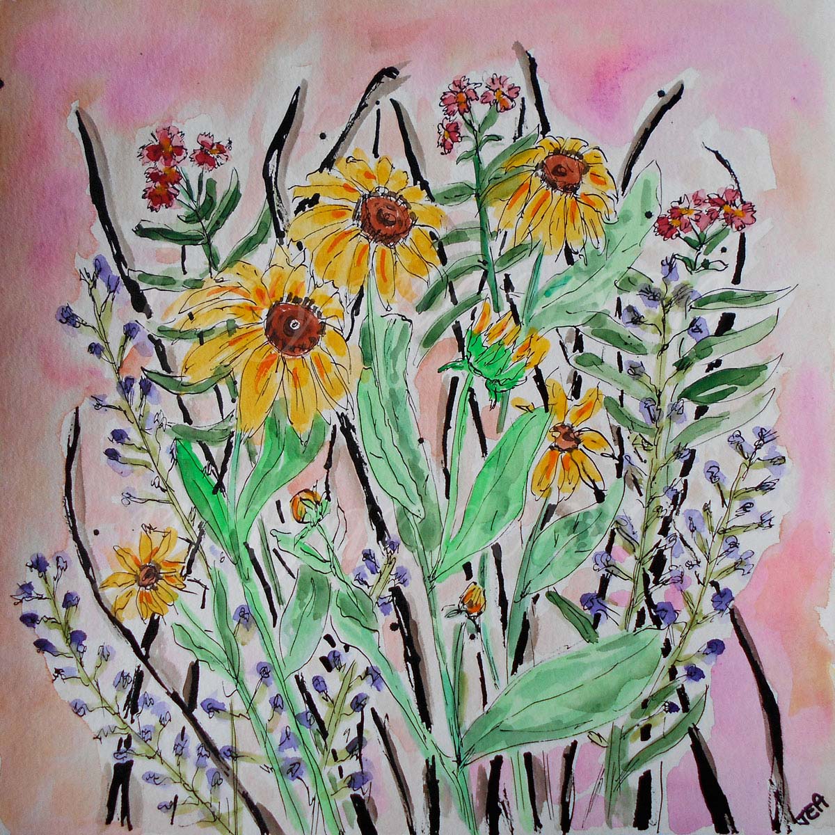 Summer Flowers