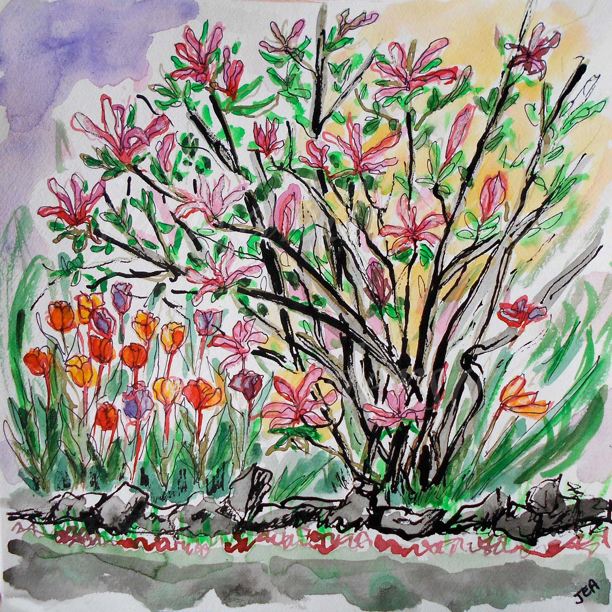 Tulip And Magnolia Last Hurrah, RBG
