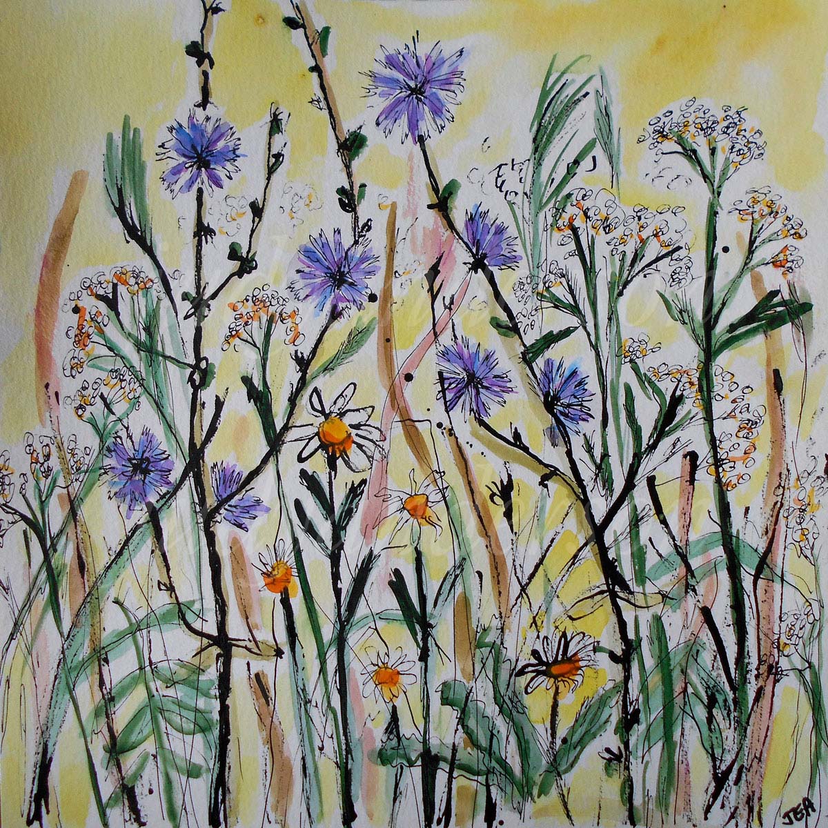 Wild Flowers