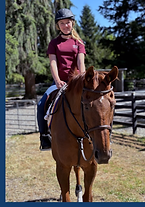 legacy horse camp