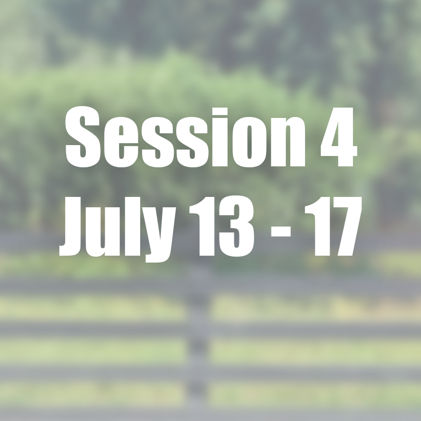 Session 4: July 13-17