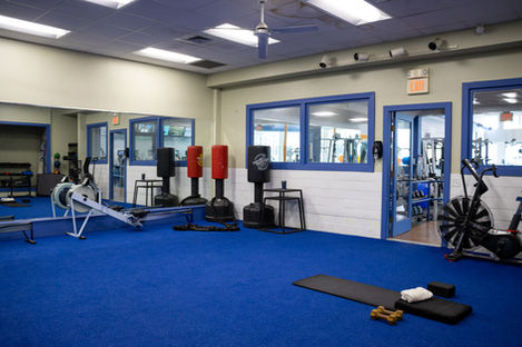 A functional training room with a bright blue turf. Punching bags, assault bike, and erg are pictured.