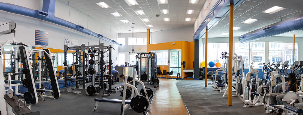 Bright gym with people using weight machines, blue and orange walls, large windows, and exercise balls. Mood is energetic and active.