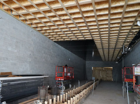 Brainnerd structural repair.jpg