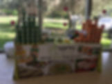 IMG_0644.jpeg