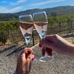 ArtCava: A Boutique Wine-Tasting Experience Just Outside Barcelona