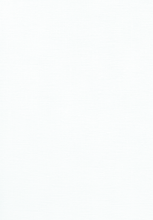 bg.png