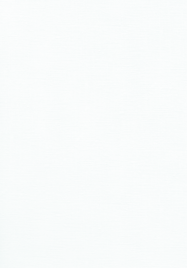 bg.png