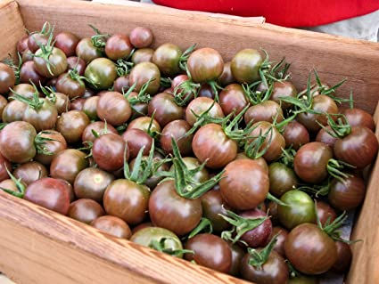 Chocolate Cherry Tomato Salad Yumminess!!!!