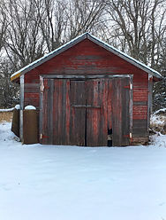 IMG_3896.jpg