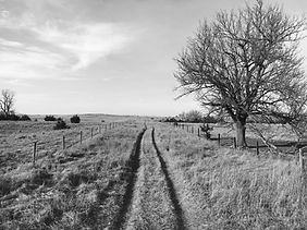 IMG_6920.JPG