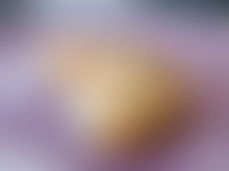 Mini Caprese Empanadas Recipe