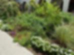 Davie Landscape Design