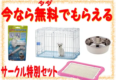 エンジェルドッグ丸岡店の今