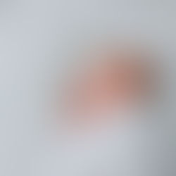 Penticton Newborn Photography: What You Need to Know Before Hiring a Photographer in the Okanagan