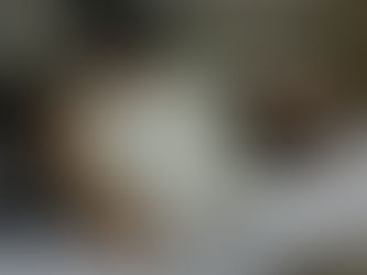 The Show Must Go On!