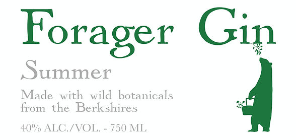 Forager Summer Gin.jpg