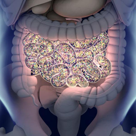 What does Antibiotics with your Microbiome? Part 1