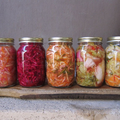 Probiotics, Fermented Food, and Prebiotics
