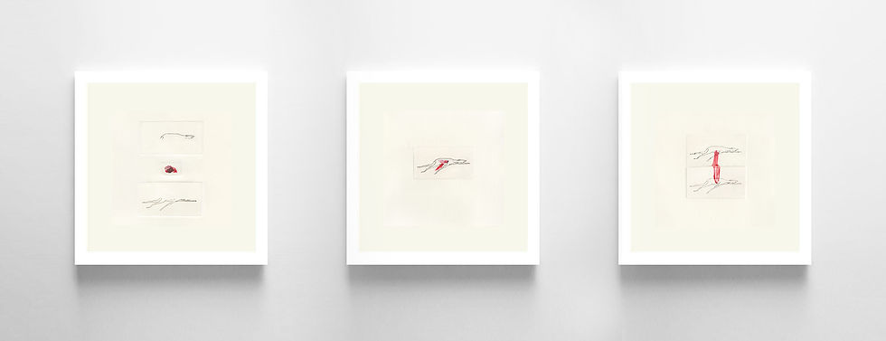 Permanência (tríptico), 2018