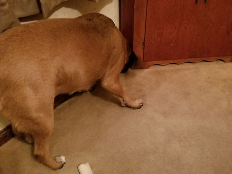 Just puttin this here