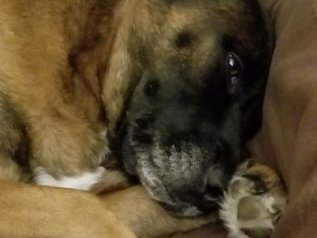 An early Thanksgiving start