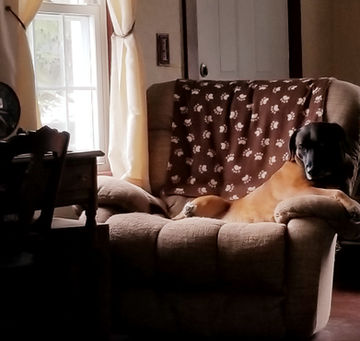 I'm feeling pretty nuttin right now.Â