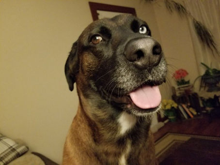 So, I've been thinking...