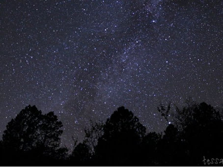 3AM Chat with Dexter