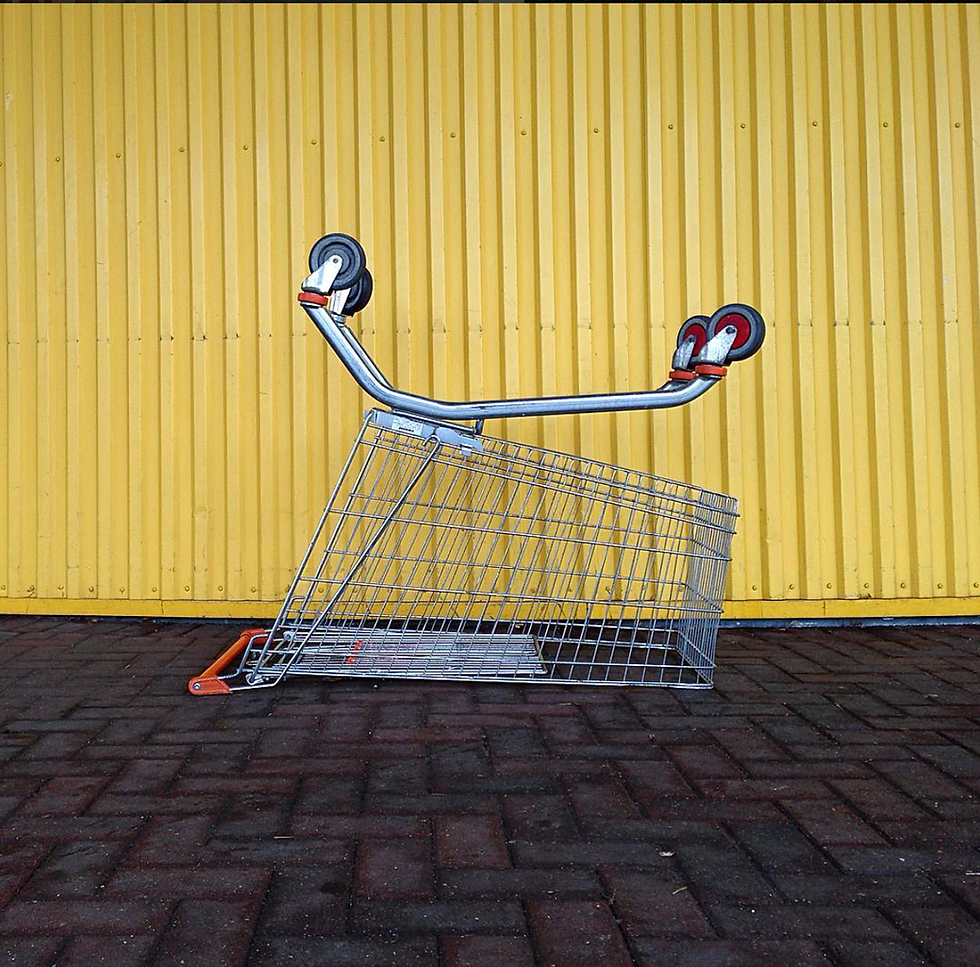 Rebecca Young work for everyday detritus