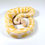 Thumbnail: 0359_04_11/23 Pastel Albino YB Ball Python