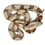 Thumbnail: BCI_0214 BCI (Columbian) Boa Constrictor (BCI)