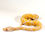 Thumbnail: 0357_03_8/24 Pastel Albino/Candino