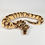 Thumbnail: 0337_03_9/23 Balzy_CL004 SN OD YB DH Clown Pied POS Enchi Fire Ball Python