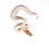 Thumbnail: 0442_02_10/25 OD Banana Hypo Piebald Ball Python