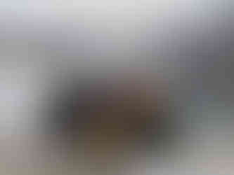 Groep voor bergmeer in Nepal