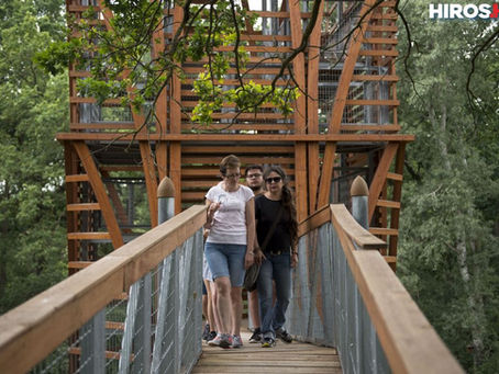 Vackor Vár: A lombok közé invitálnak sétára